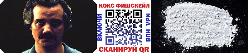mega маркетплейс  Исилькуль  Cocaine Fish Scale  цены наркотик 