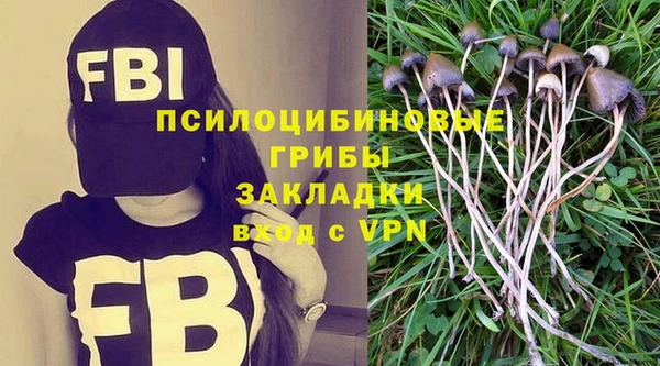 герыч Зеленодольск