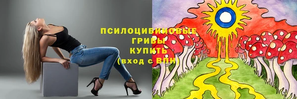 jwh Зеленокумск