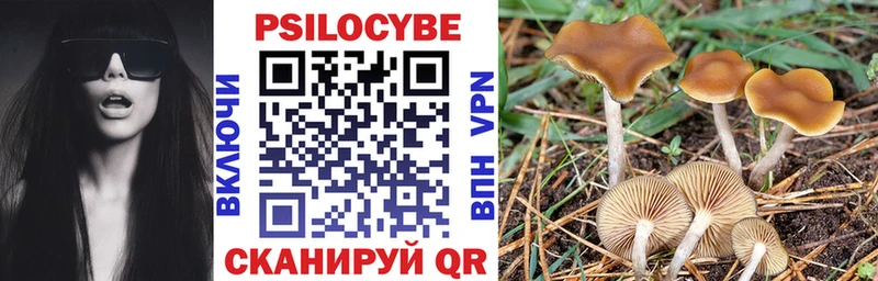 Галлюциногенные грибы Magic Shrooms  Исилькуль 